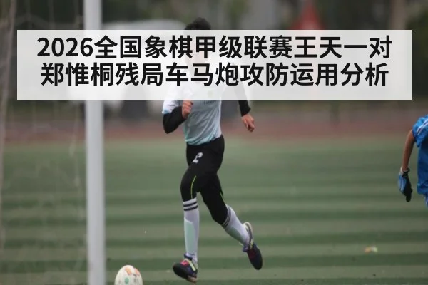 2026全国象棋甲级联赛王天一对郑惟桐残局车马炮攻防运用分析 - wellbet