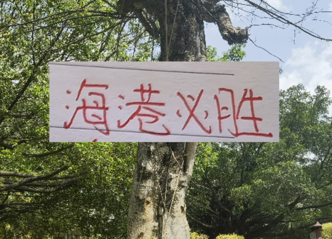 wellbet官方网站-前有奇塔 现有奥斯卡 海港旧将也喜欢度假途径母队